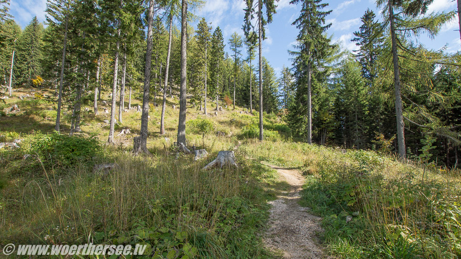 Ferlacher Spitz Zuweg