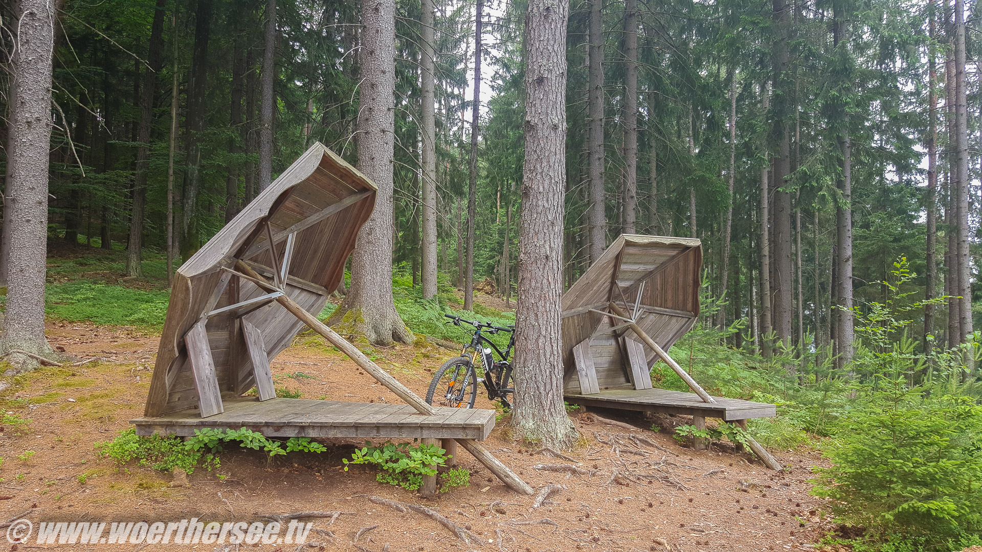 Waldschirme_Wörthersee Aussichtspunkt